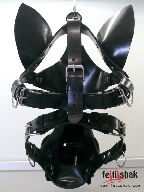 Dog and Play Head Harness - Image 2