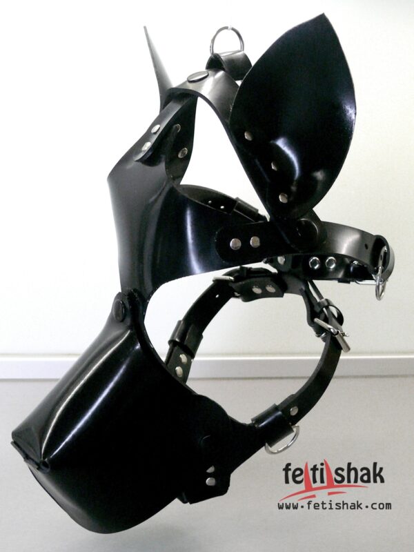 Dog and Play Head Harness