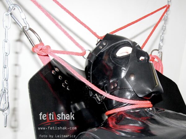 Dog and Play Head Harness - Image 11