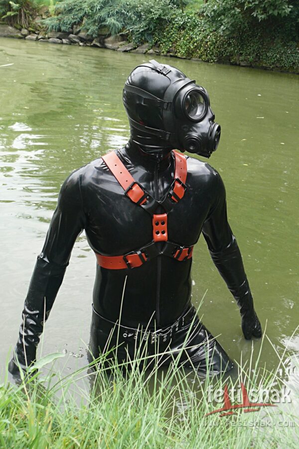 Y-shape body harness - Image 5