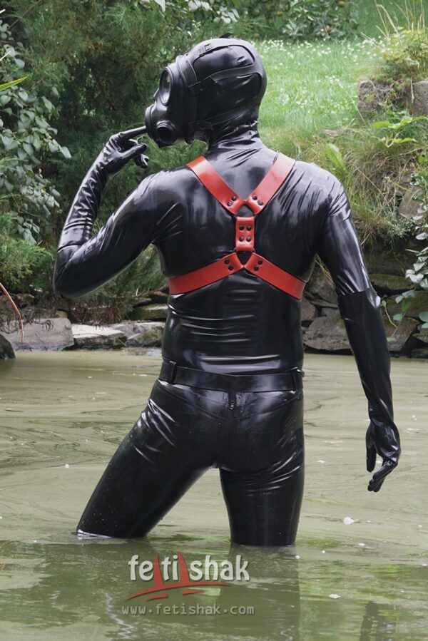 Y-shape body harness - Image 4
