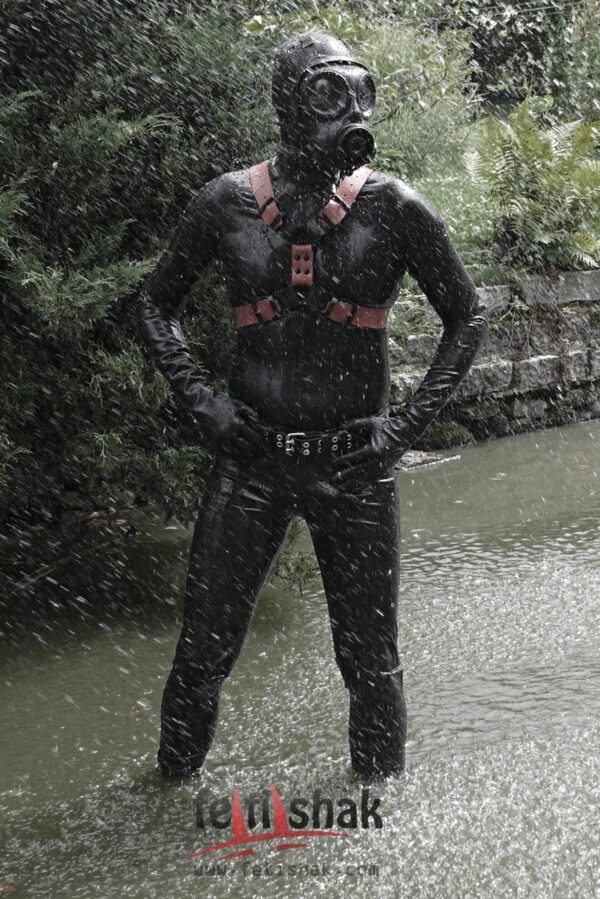 Y-shape body harness - Image 3