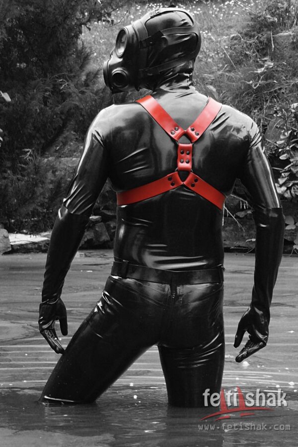 Y-shape body harness - Image 2